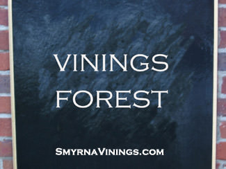 Vinings Forest Homes
