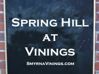 Spring Hill at Vinings Homes for Sale