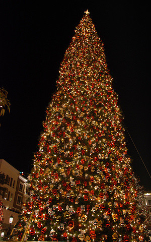 emory adventist christmas tree lighting